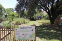 Jardin de l'abbaye © Solignac Julie - OTI-SGVH 